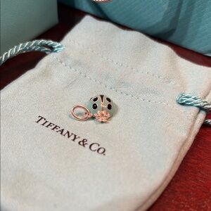 Tiffany & Co. Silver and Tiffany Blue Ladybug Charm
